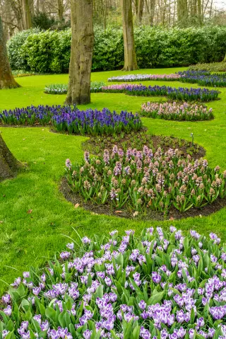 colorful floral gardens in a yard