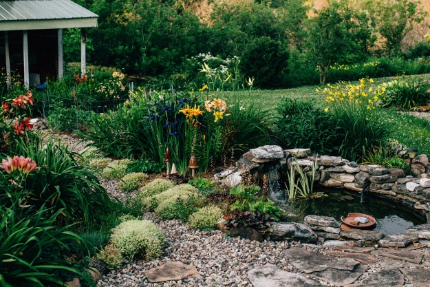 Small pond in a yard