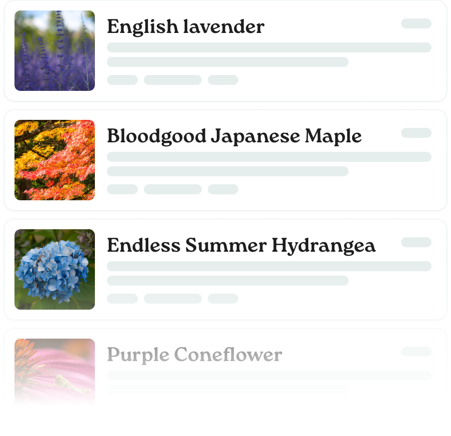 Plant guide with native plant landscaping suggestions for local climate zones